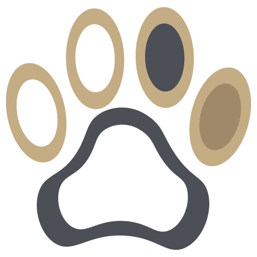 Pawcash: Spenden für die Katzenhilfe Radolfzell